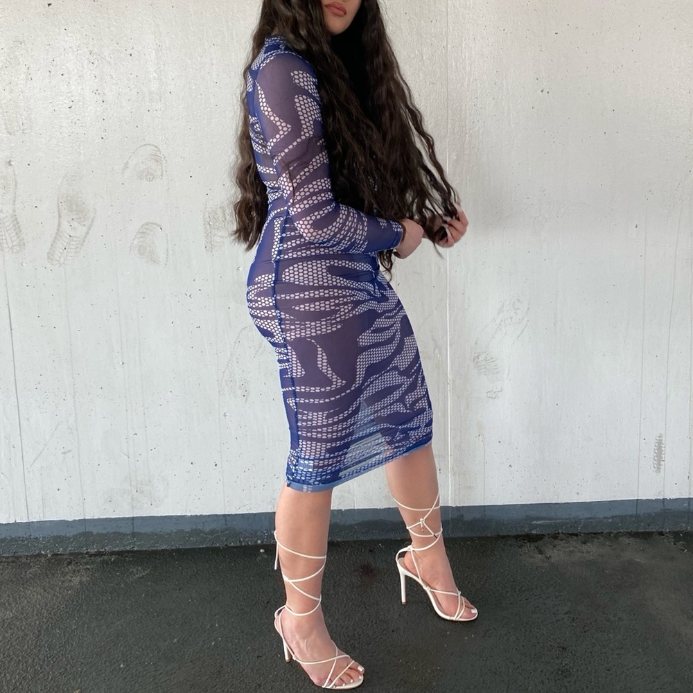 Mesh High Neck Dress